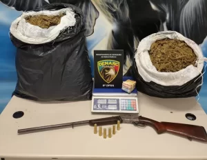 DENARC DE GARANHUNS APREENDE 25 QUILOS DE MACONHA, E ARMA DE FOGO EM TUPANATINGA